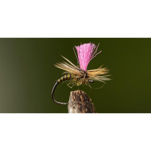 AHREX FW527 Big Gap Dry Fly Barbless Hooks - Primary Image