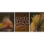 AHREX TP650 Trout Pedator 26 Degree Bent Steamer Hooks - Thumbnail 3 of 3