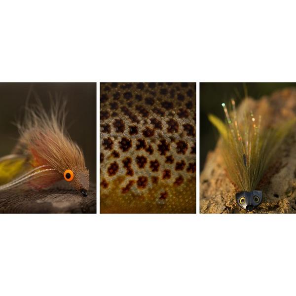 AHREX TP650 Trout Pedator 26 Degree Bent Steamer Hooks