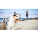 Chuckit! Large Tennis Ball - Thumbnail 2 of 4