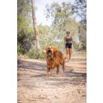 Chuckit! Pocket Ball Launcher - Thumbnail 3 of 4