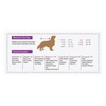 Fashion Pet Holiday Candy Cane Toss Dog Sweater - Thumbnail 3 of 3