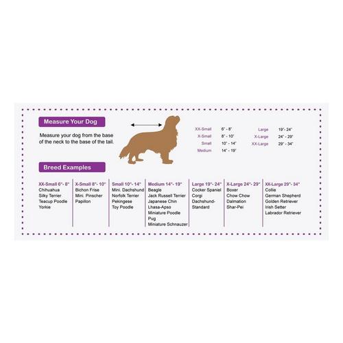 Fashion Pet Holiday Candy Cane Toss Dog Sweater - Primary Image