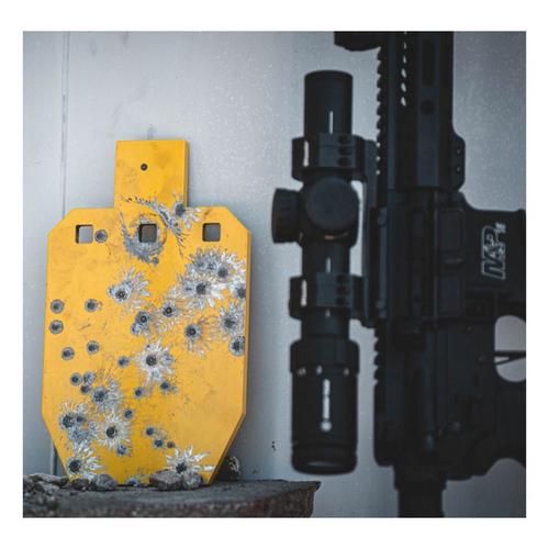 Caldwell AR500 IPSC Steel Target - Primary Image