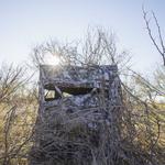 BOG Prevail Ground Blind - Thumbnail 4 of 5