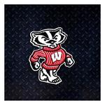 Authentic Street Signs Wisconsin Badgers Bucky Steel Magnet - Thumbnail 1 of 2
