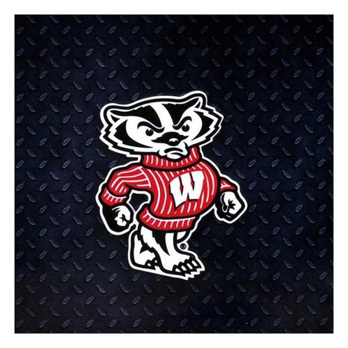 Authentic Street Signs Wisconsin Badgers Bucky Steel Magnet - Primary Image