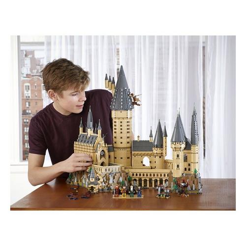 LEGO Harry Potter Hogwarts Castle 71043 Building Set - Primary Image