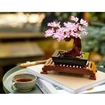 LEGO Botanical Bonsai Tree 10281 Building Set - Thumbnail 7 of 7