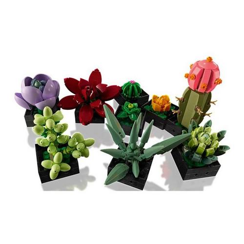 LEGO Botanical Succulents 10309 Building Set - Primary Image