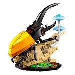 LEGO Ideas The Insect Collection 21342 Building Set - Thumbnail 4 of 7