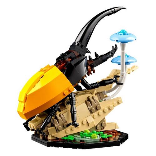 LEGO Ideas The Insect Collection 21342 Building Set - Primary Image