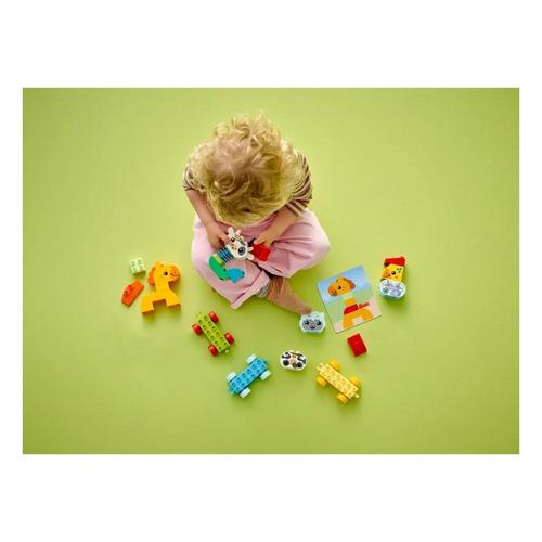 LEGO Duplo Animal Train 10412 Building Set - Primary Image