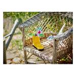 LEGO Creator 3 in 1 Flowers in Watering Can 31149 Building Set - Thumbnail 10 of 10