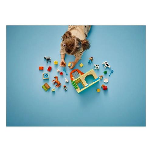 LEGO Duplo Caring for Animals at the Farm 10416 Building Set - Primary Image