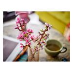 LEGO Botanical Cherry Blossoms 40725 Building Set - Thumbnail 5 of 6