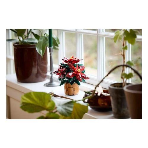 LEGO Botanical Poinsettia 10370 Building Set - Primary Image
