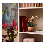 LEGO Botanicals Mini Orchid 10343 Building Set - Thumbnail 6 of 8