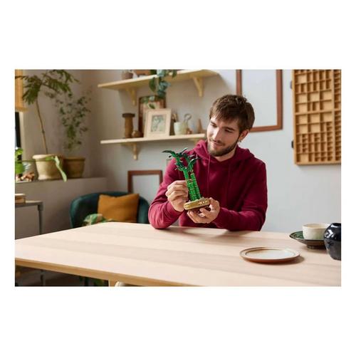 LEGO Botanical Lucky Bamboo 10344 Building Set - Primary Image
