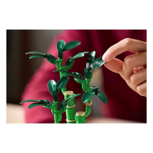 LEGO Botanical Lucky Bamboo 10344 Building Set - Primary Image