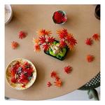 LEGO Botanicals Japanese Red Maple Bonsai Tree 10348 Building Set - Thumbnail 8 of 11