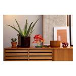 LEGO Botanicals Japanese Red Maple Bonsai Tree 10348 Building Set - Thumbnail 9 of 11