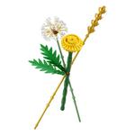 LEGO Botanicals Field Flowers 30701 Bag - Thumbnail 1 of 3