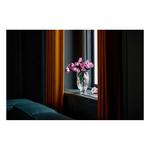 LEGO Botanicals Bouquet of Pink Roses 10374 Building Set - Thumbnail 4 of 11