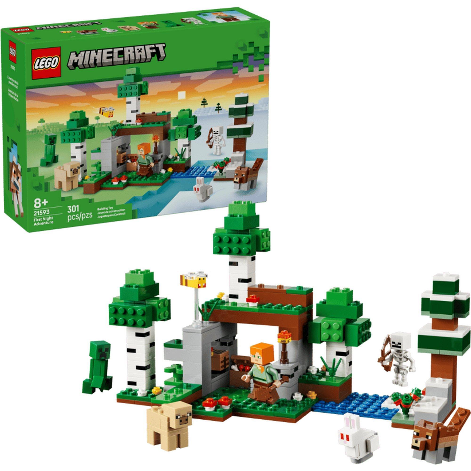 LEGO® Minecraft First Night Adventure 21593 Building Set