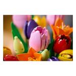 LEGO Botanicals Tulip Bouquet 11501 Building Set - Thumbnail 8 of 11