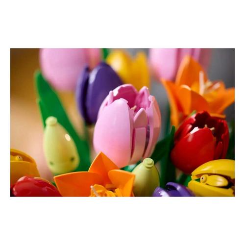 LEGO Botanicals Tulip Bouquet 11501 Building Set - Primary Image