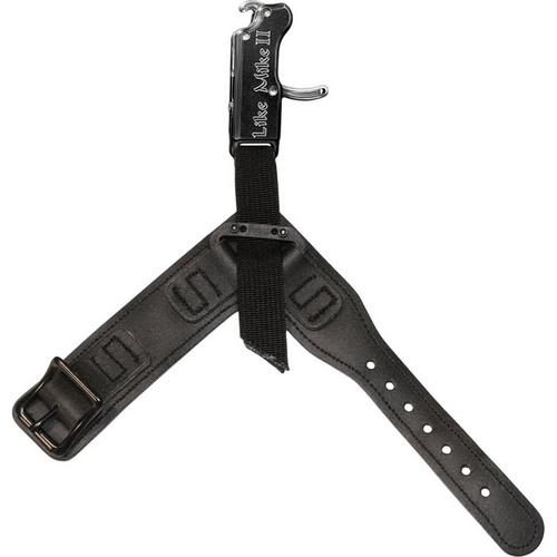 Carter Enterprises Like Mike II Release - Primary Image