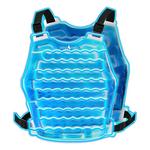 AlphaCool Original Cooling Ice Vest - Thumbnail 1 of 2