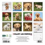 Willow Creek Press Yellow Lab Puppies 2025 Wall Calendar - Thumbnail 2 of 5