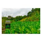 Domain Outdoor Green Machine Seed - Thumbnail 2 of 4