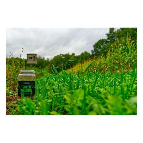 Domain Outdoor Green Machine Seed - Primary Image