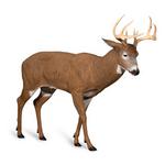 Dave Smith Decoys Posturing Buck Decoy - Thumbnail 1 of 3