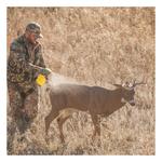 Dave Smith Decoys Posturing Buck Decoy - Thumbnail 3 of 3