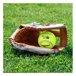 Dudley Thunder ZN USSSA 12" Composite Slowpitch Softball - Thumbnail 2 of 2