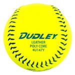 Dudley Thunder Heat 12" USSSA Fastpitch Gameball Softball - Thumbnail 5 of 5