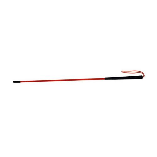 ASD Trainer's Heeling Stick - Primary Image