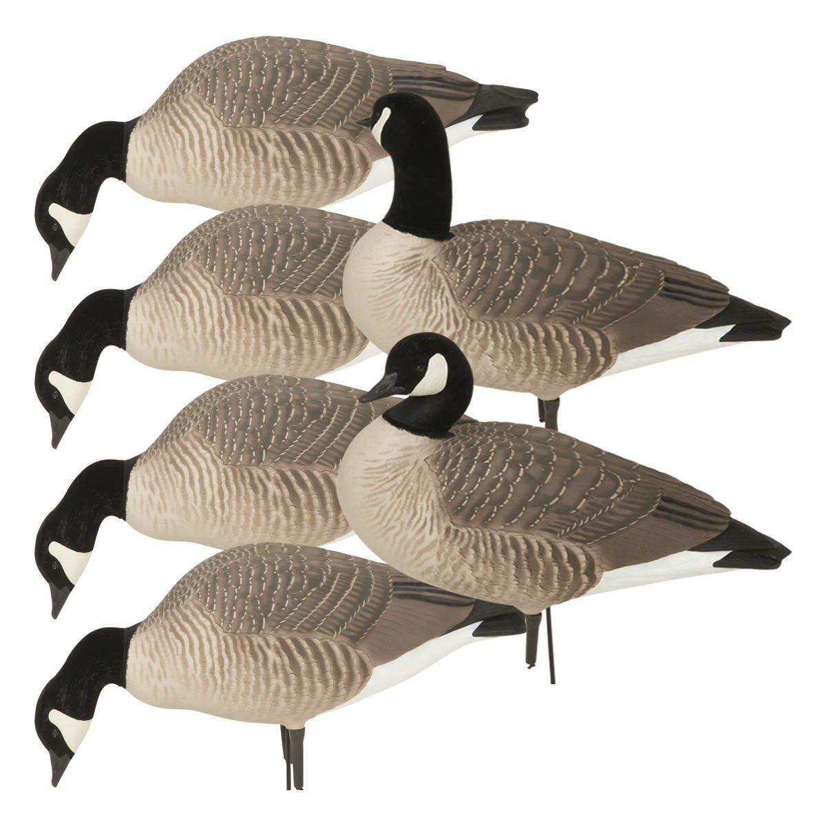 Greenhead Gear Hunter Series Full Body Canada Goose Decoys 6-Pack - Greenhead Gear