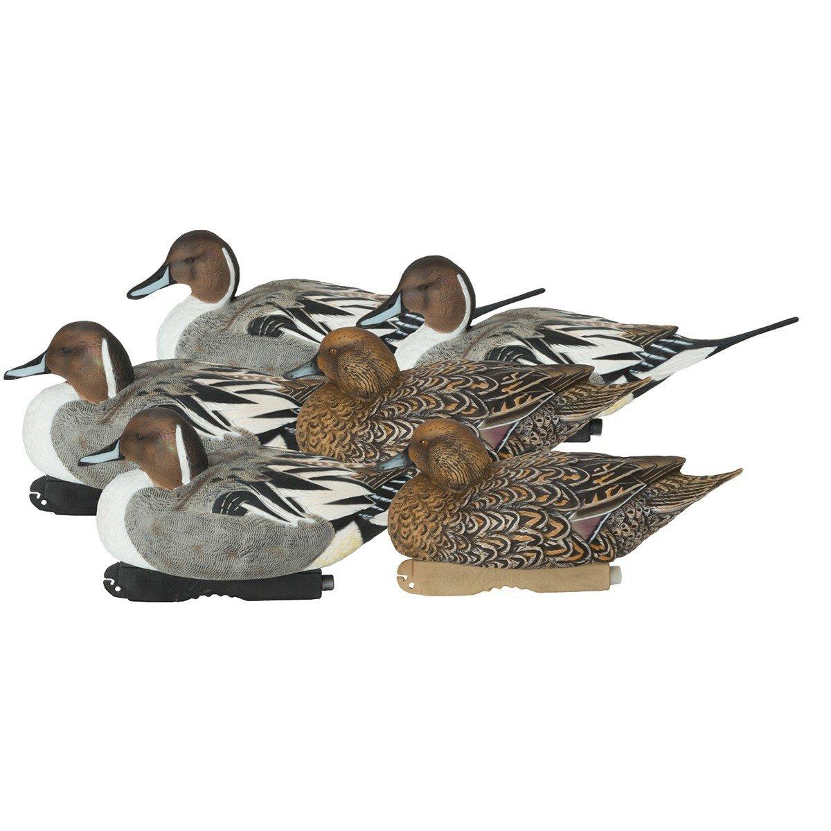 Banded Pro-Grade XD Pintail Decoy Floating Decoys - Banded