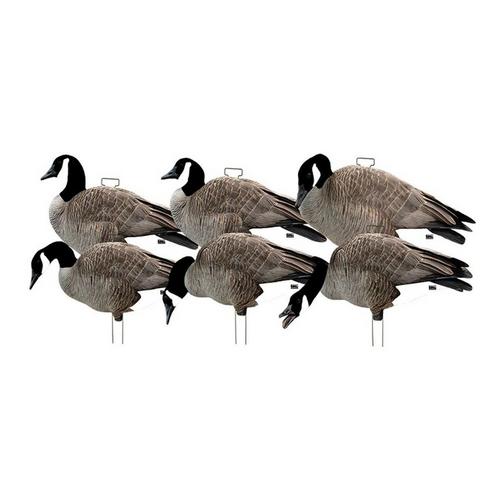 Greenhead Gear Pro-Grade Canada Silhouettes 12 Pack - Primary Image
