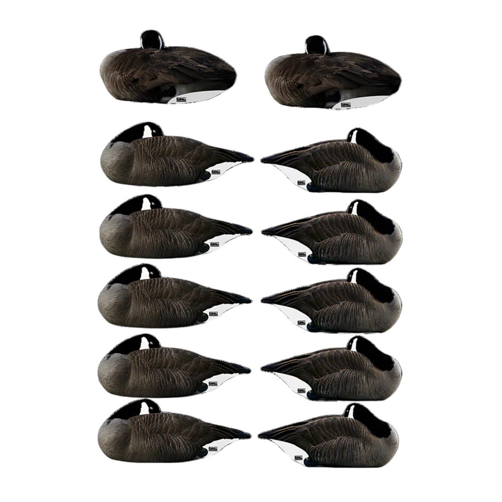 GHG Pro Grade Silhouette Canada Goose Sleeper Decoys with Flocked Heads 12 Pack - Greenhead Gear