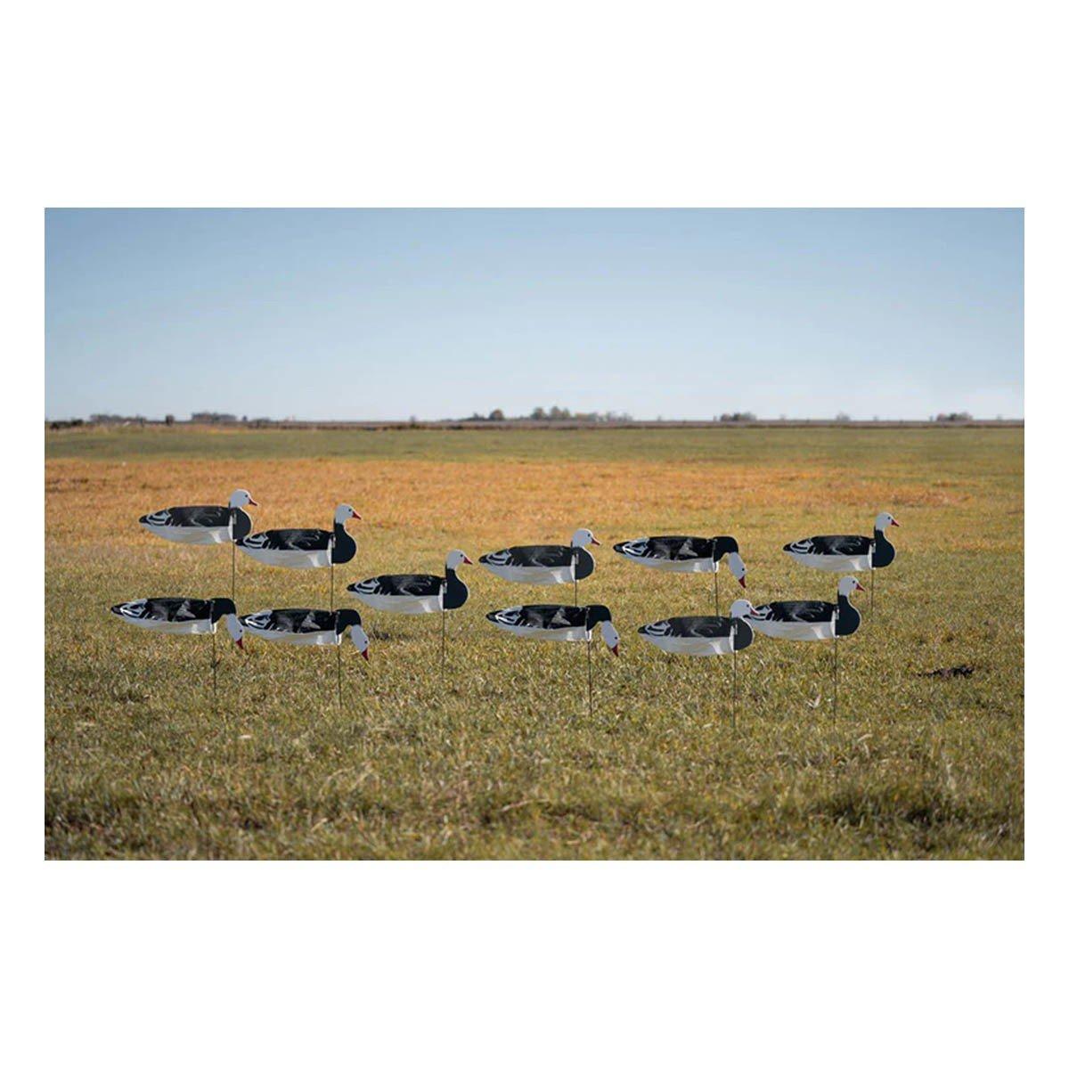 Greenhead Gear Pro-Grade Blue Goose Sock Decoys with Heads 12 ct. - Greenhead Gear