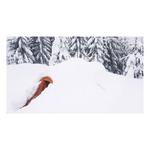 ALPS Mountaineering Tasmanian 3 Person Tent - Thumbnail 6 of 7