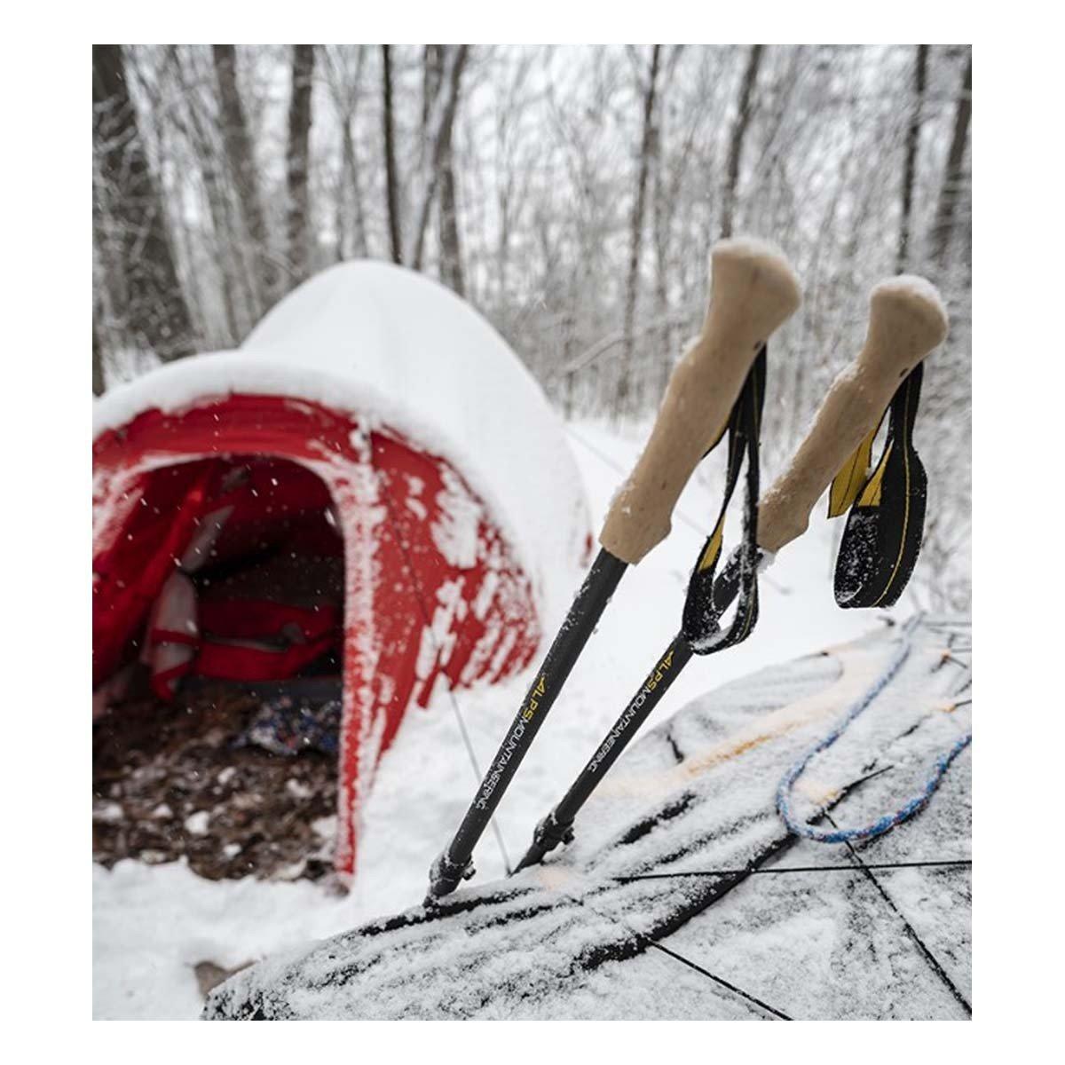 ALPS Mountaineering Alliance Trekking Pole - Thumbnail 3
