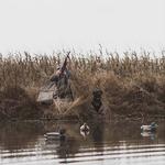 ALPS OutdoorZ DU Zero-Gravity Layout Blind - Thumbnail 11 of 11