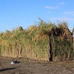 ALPS OutdoorZ DU Alpha A-Frame Waterfowl Blind - Thumbnail 13 of 13